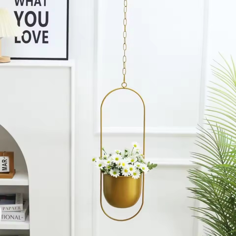 Echeveria Succulent - Creative Iron Plant Hanging Basket with