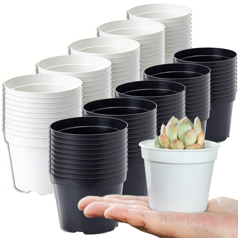 Echeveria Succulent - 12/20pcs Mini Round Plastic Succulent Pots,