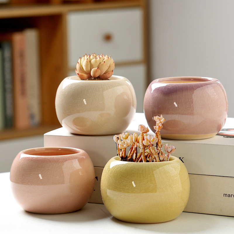 Aloe Vera Pot - Flower Pot Ice Cracked Small Cute