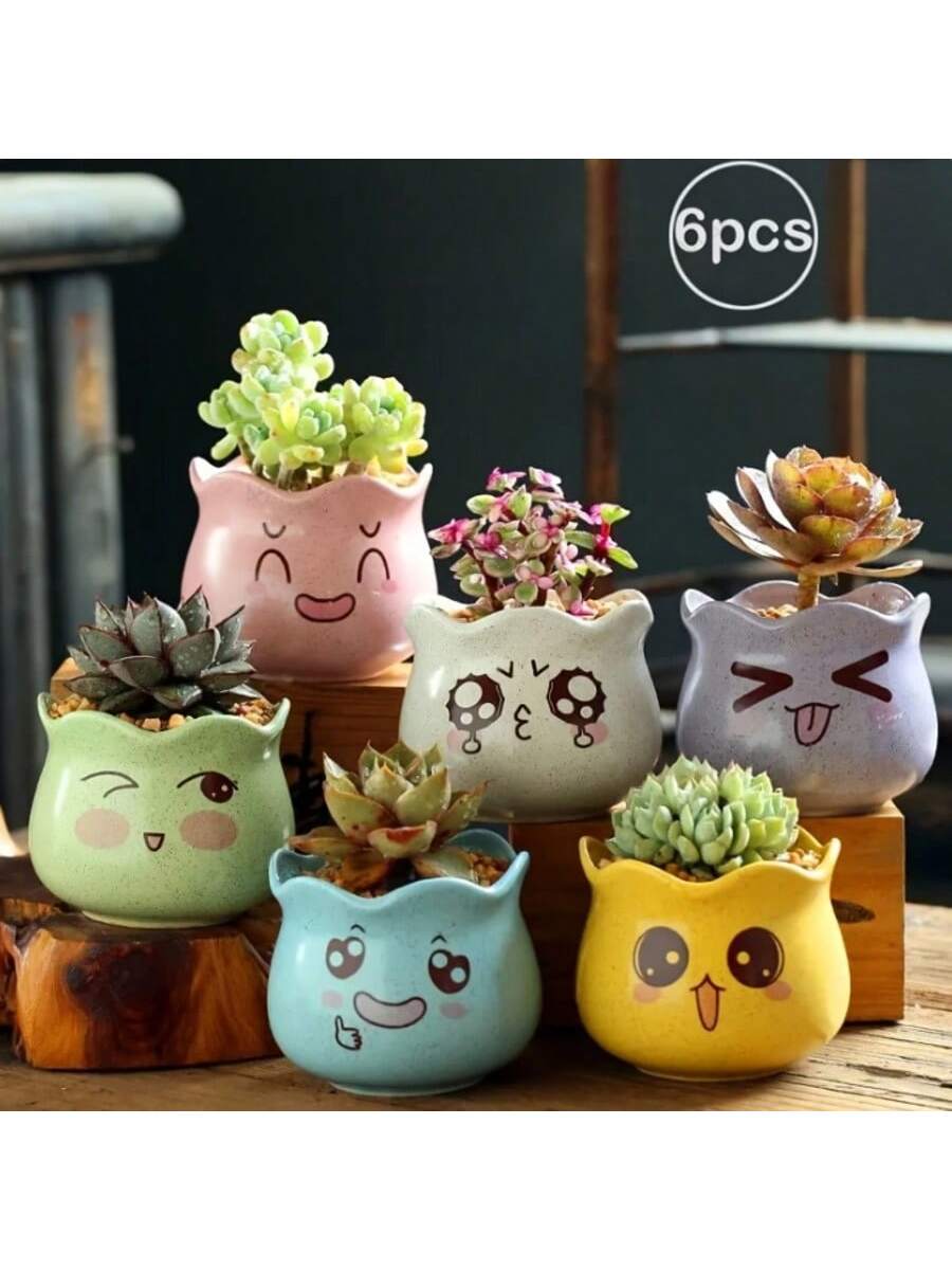 6pcs/set Cartoon Cute Ceramic  - đánh giá và giá Echeveria Succulent