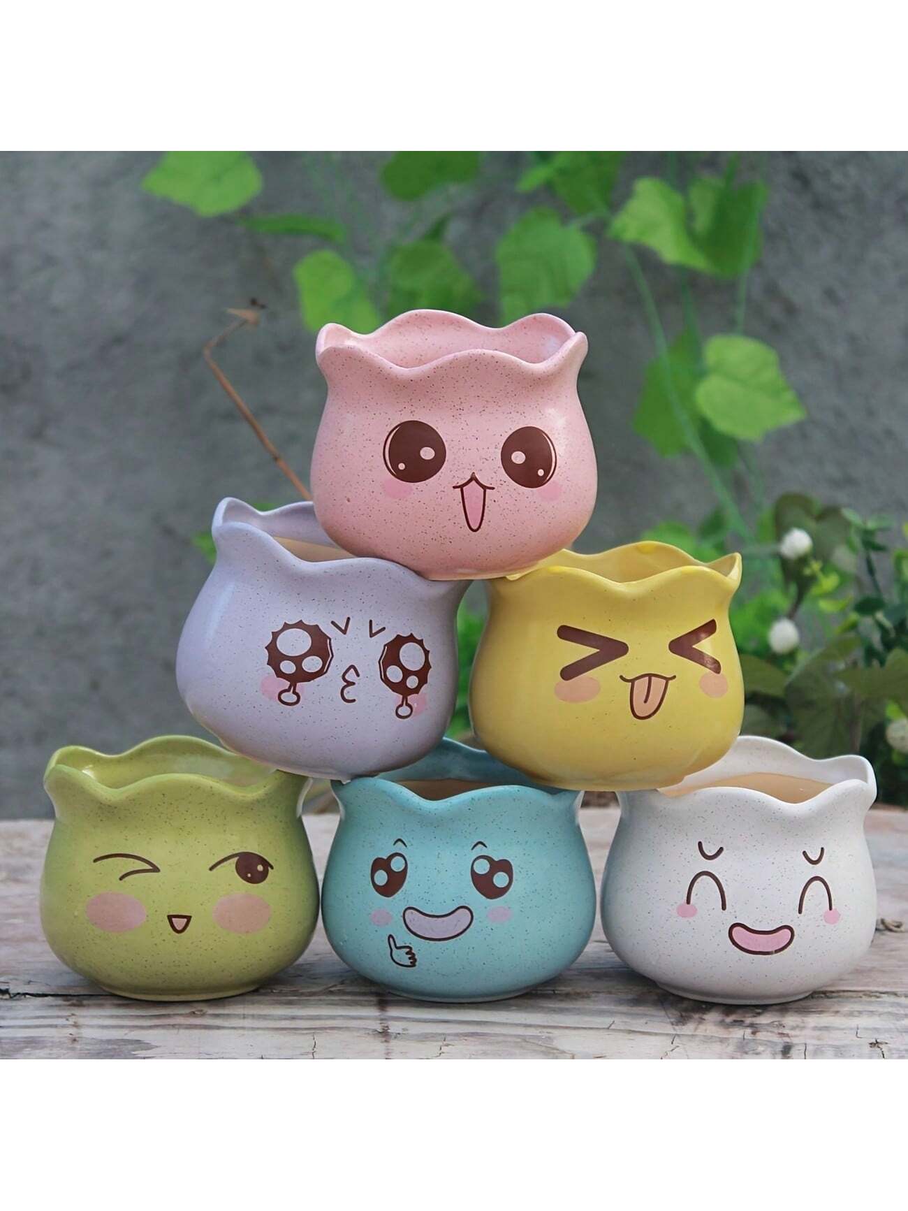 6pcs/set Cartoon Cute Ceramic  - đánh giá và giá Echeveria Succulent