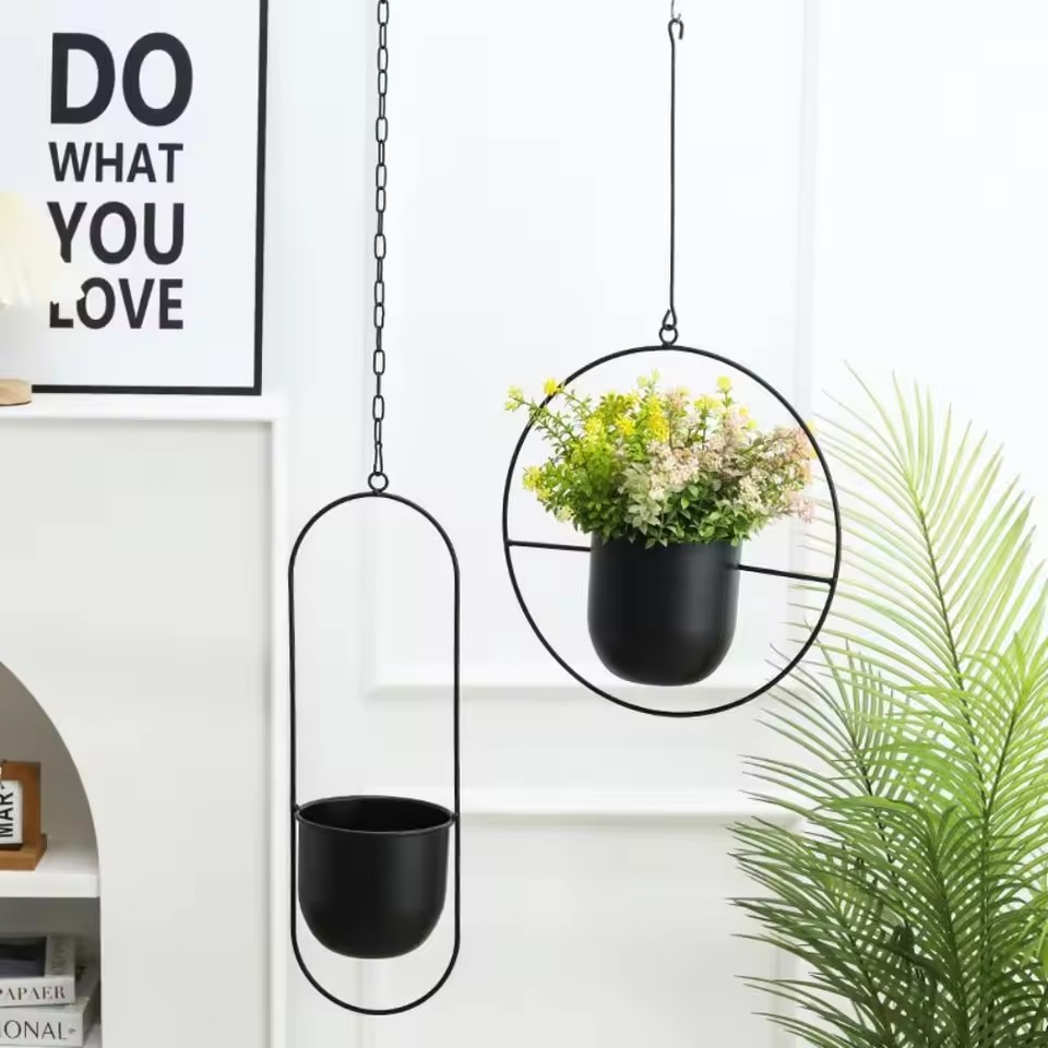 Creative Iron Plant Hanging Ba - đánh giá và giá Echeveria Succulent