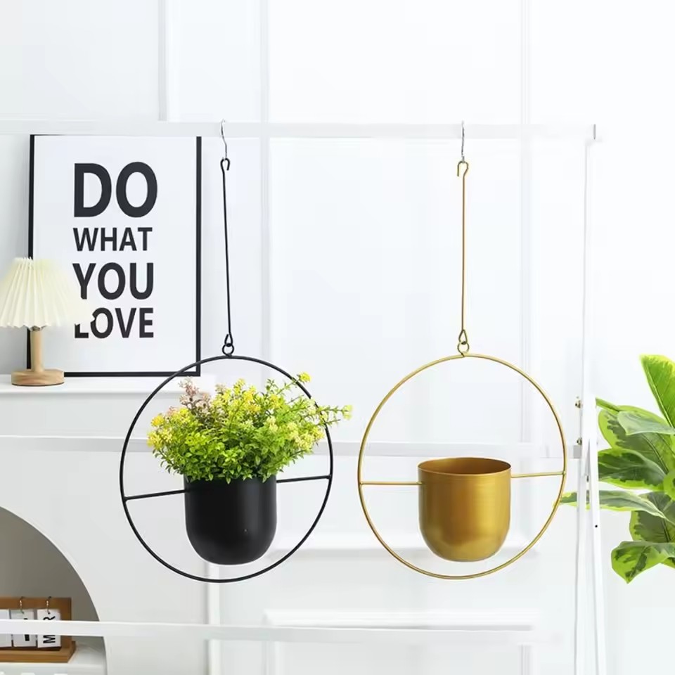 Creative Iron Plant Hanging Ba - đánh giá và giá Echeveria Succulent