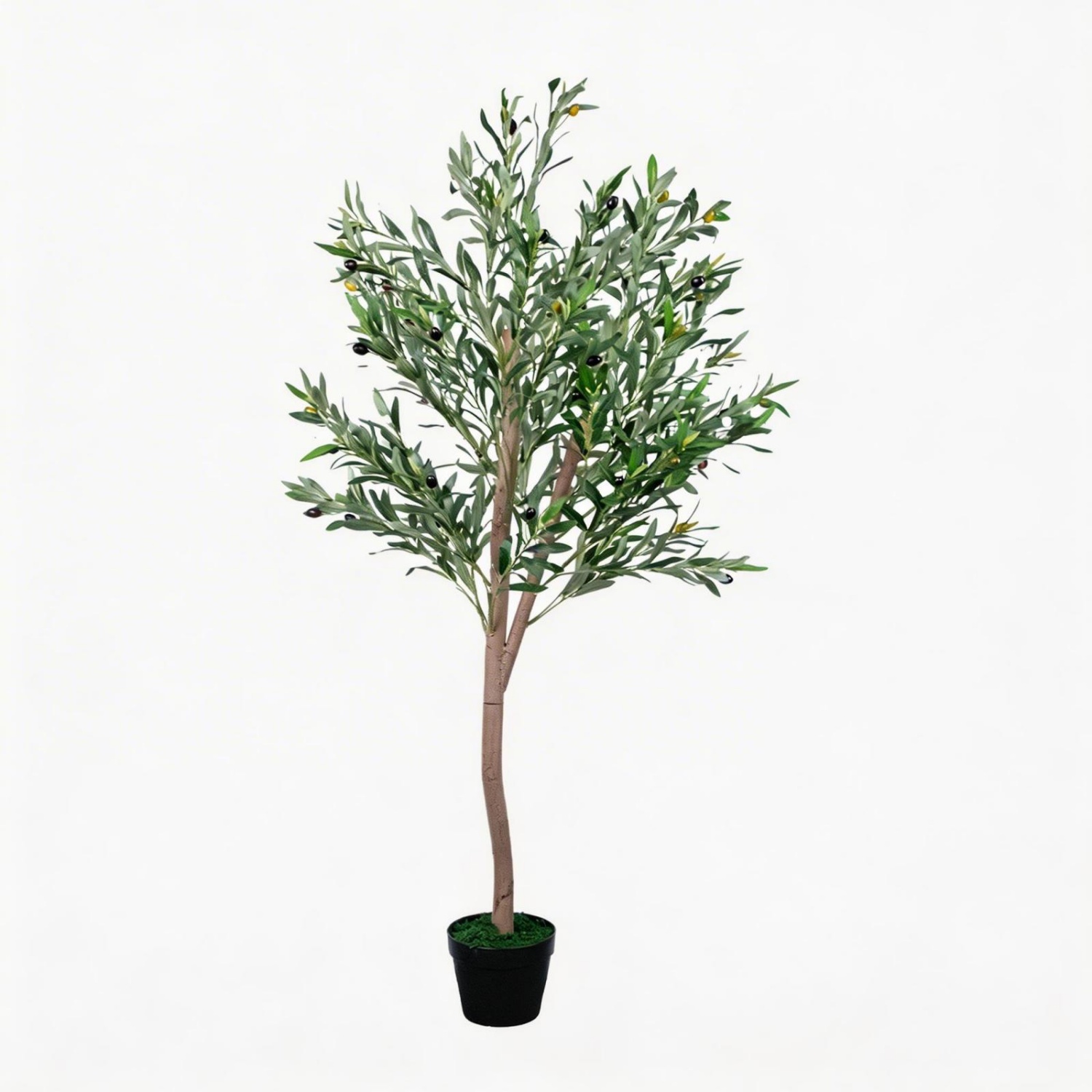 Artificial Olive Tree 5FT, Fau - đánh giá và giá Dracaena Marginata