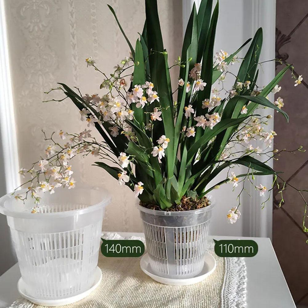 Mesh Pot Root Control Transpar - đánh giá và giá Aloe Vera Pot