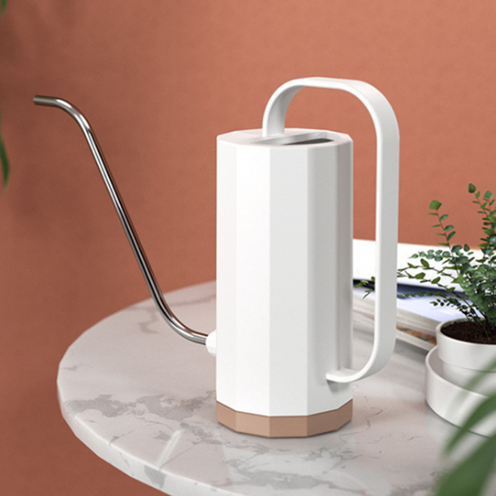 1000ml Flower Spray Pot Stainl - đánh giá và giá Echeveria Succulent