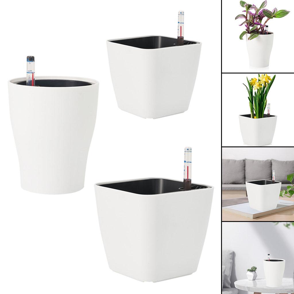 Self Watering Flower Pots Whit - đánh giá và giá Aloe Vera Pot