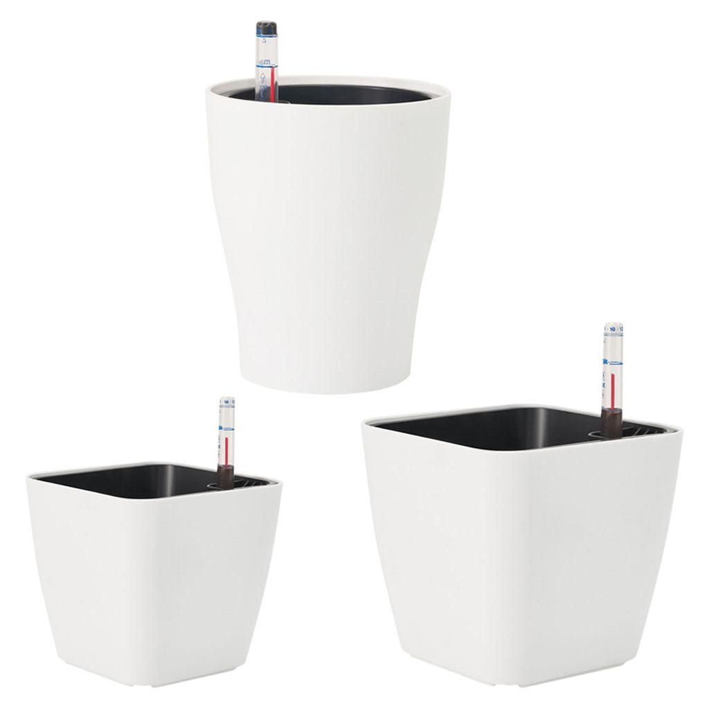 Self Watering Flower Pots Whit - đánh giá và giá Aloe Vera Pot
