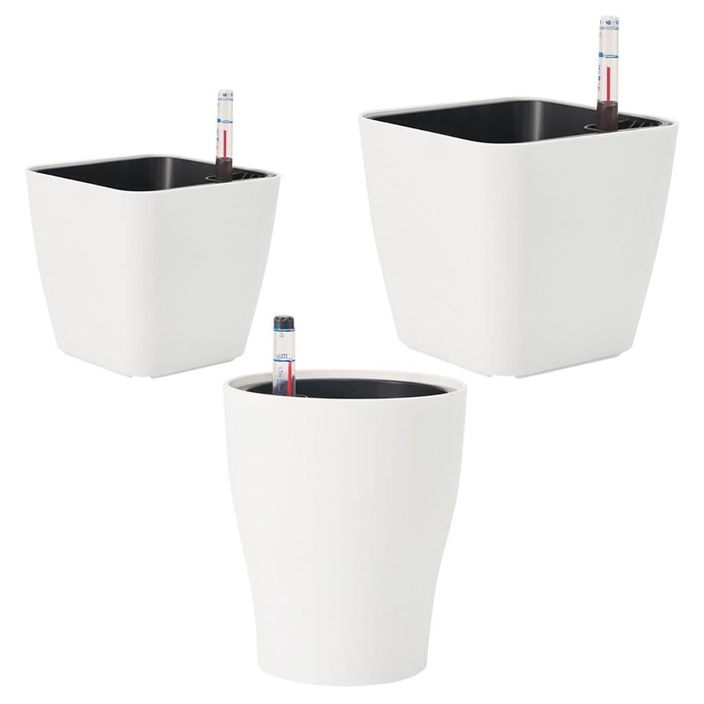 Self Watering Flower Pots Whit - đánh giá và giá Aloe Vera Pot