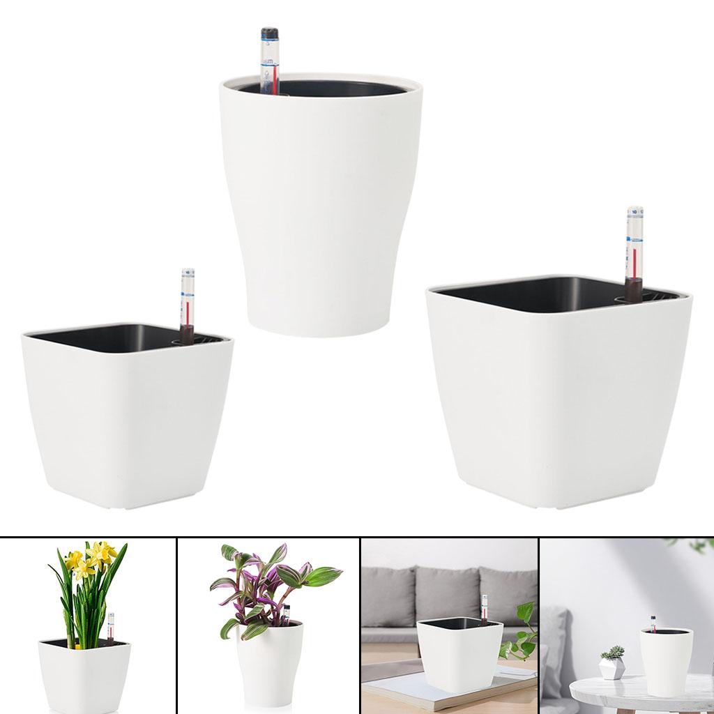 Self Watering Flower Pots Whit - đánh giá và giá Aloe Vera Pot