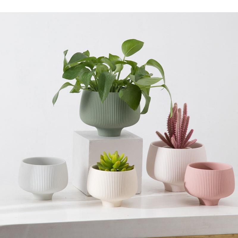 Multicolor Stripes Ceramic Vas - đánh giá và giá Aloe Vera Pot