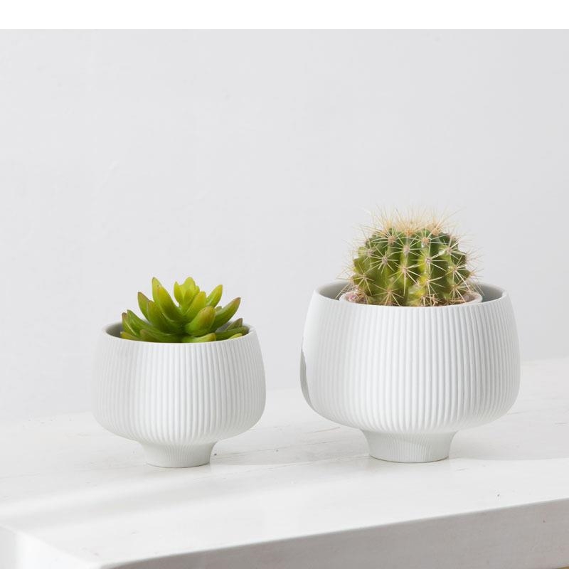 Multicolor Stripes Ceramic Vas - đánh giá và giá Aloe Vera Pot
