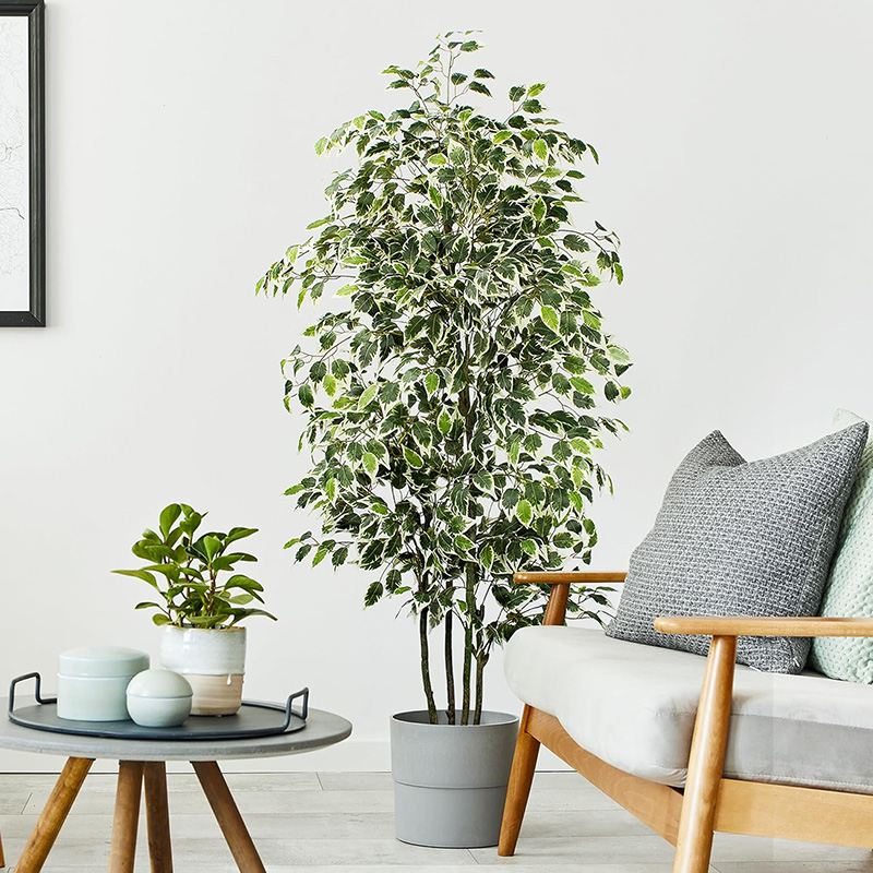 70in Artificial Ficus Tree Fau - đánh giá và giá Dracaena Marginata