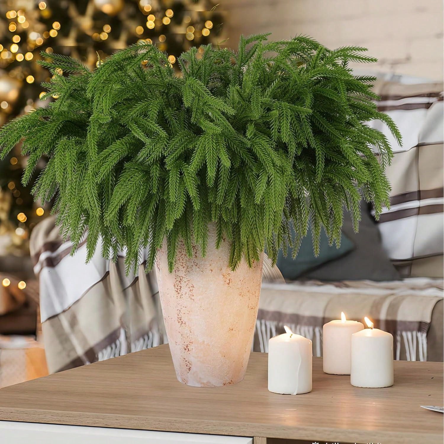 Christmas Norfolk Branches Rea - đánh giá và giá Dracaena Marginata