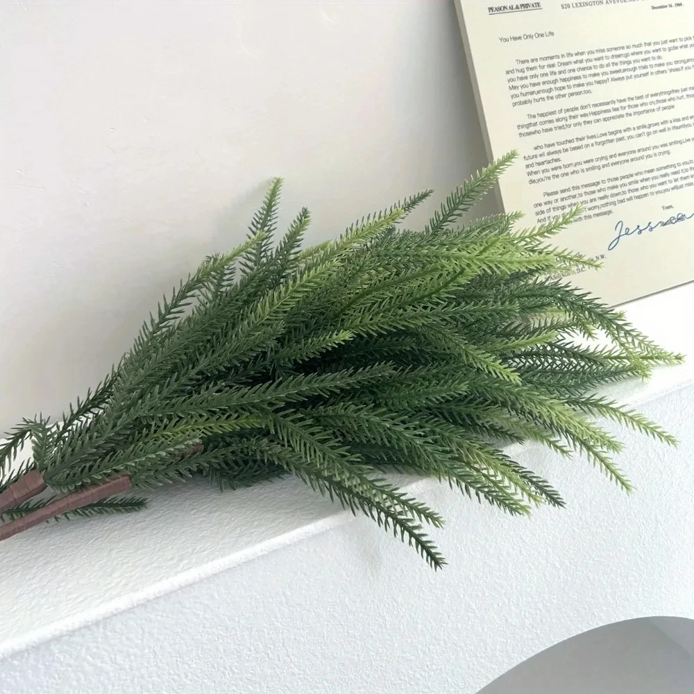 Christmas Norfolk Branches Rea - đánh giá và giá Dracaena Marginata