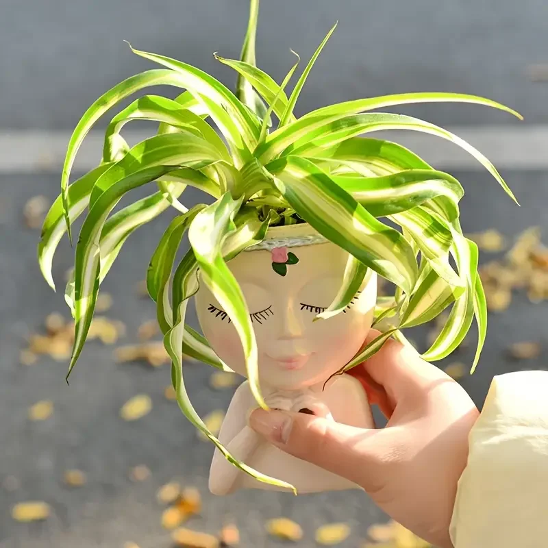 Heart‑Handed Girl Resin Succul - đánh giá và giá Echeveria Succulent