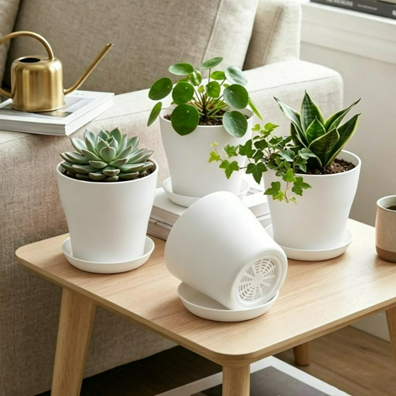 Plant Pot Set with Drainage Ho - đánh giá và giá Echeveria Succulent